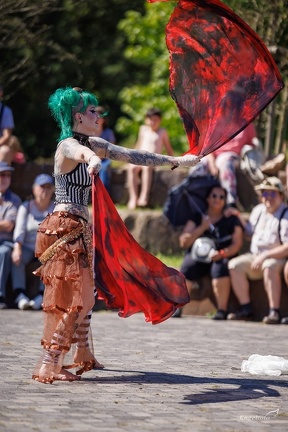 Steampunk Jubilee 240810 148