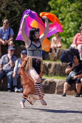 Steampunk Jubilee 240810 150